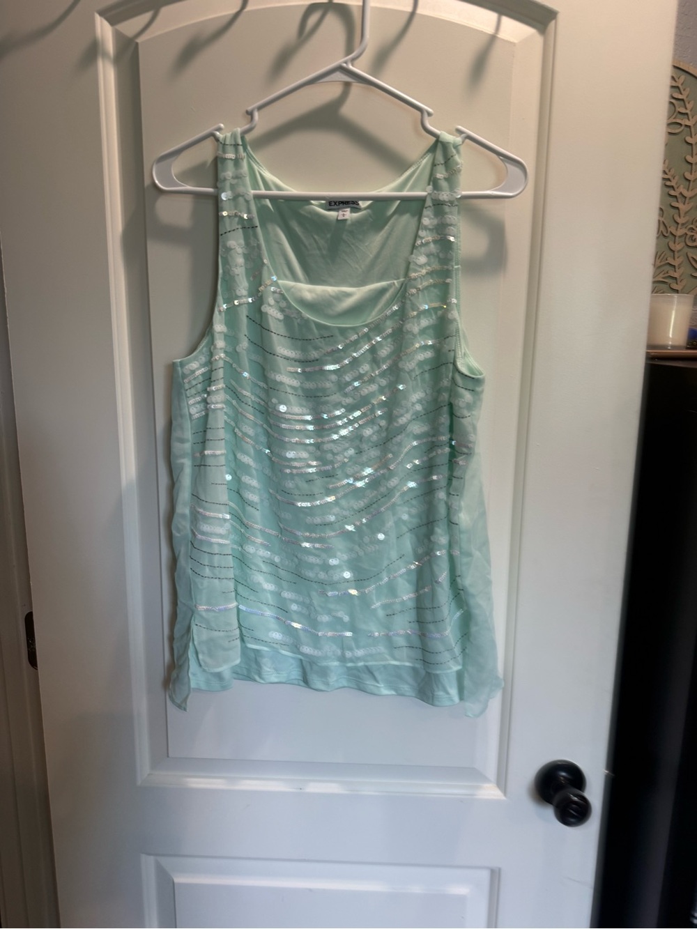 Express Mint Sequin Draped Chiffon Camisole